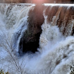 Ottawa to Haida Gwaii