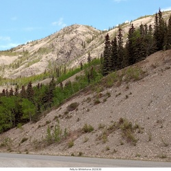 Stepping Stone to Ottawa